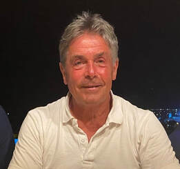 cllr tim cornick vice chair